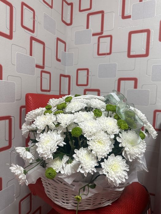 Гулдер сатылады 5000тг 3000тг