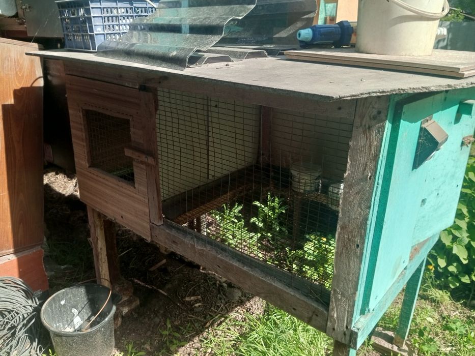 Клетки для кроликов