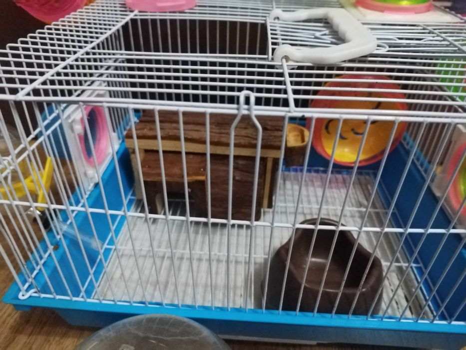 Cușcă completă pentru hamsteri