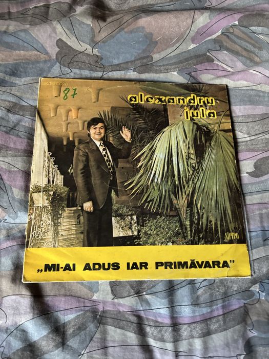 Vinil de vanzare