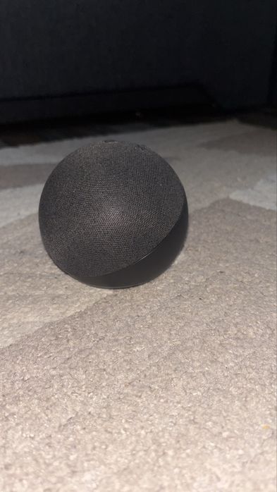 Alexa Echo Dot 5