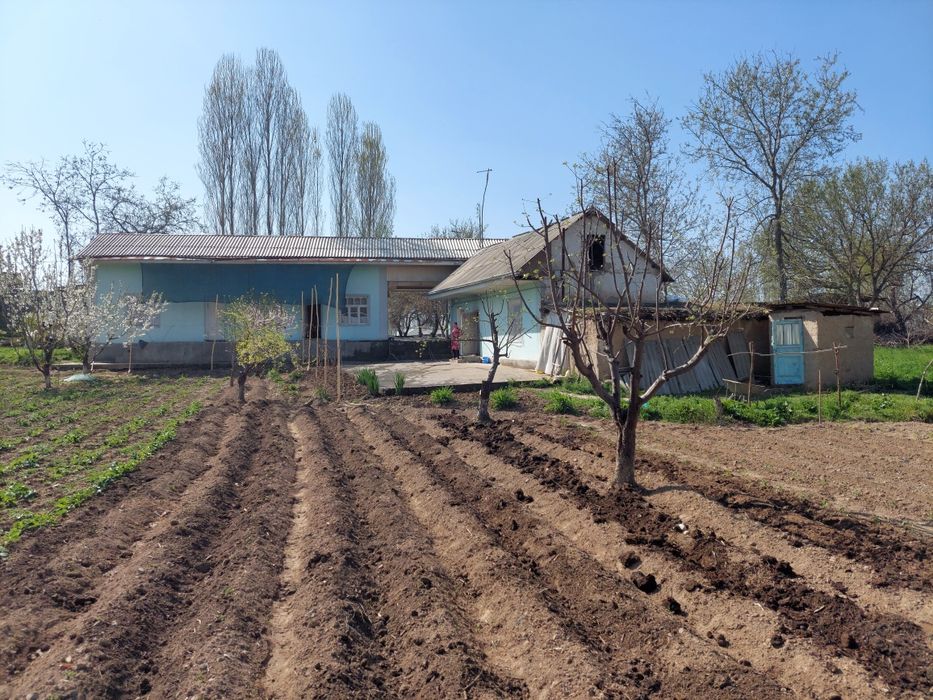 Ховли уй. Трасса буйида