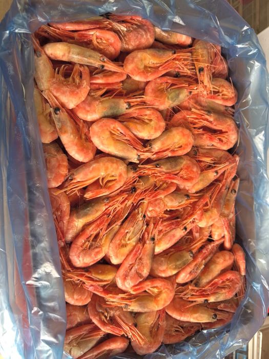 Креветки,лангустины,королевские креветки,раки