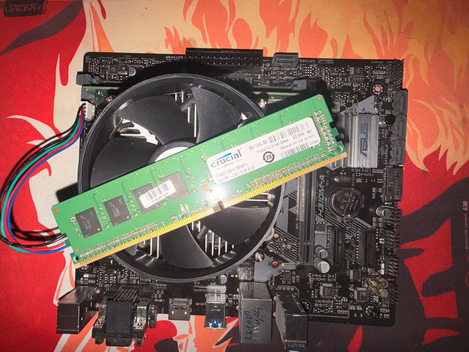 Placa de baza asus