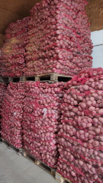 Vând cartofi  calitate 1