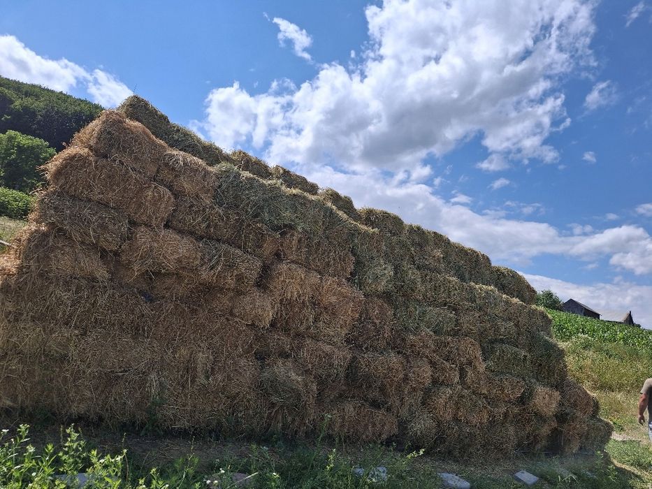 Baloți lucernă !