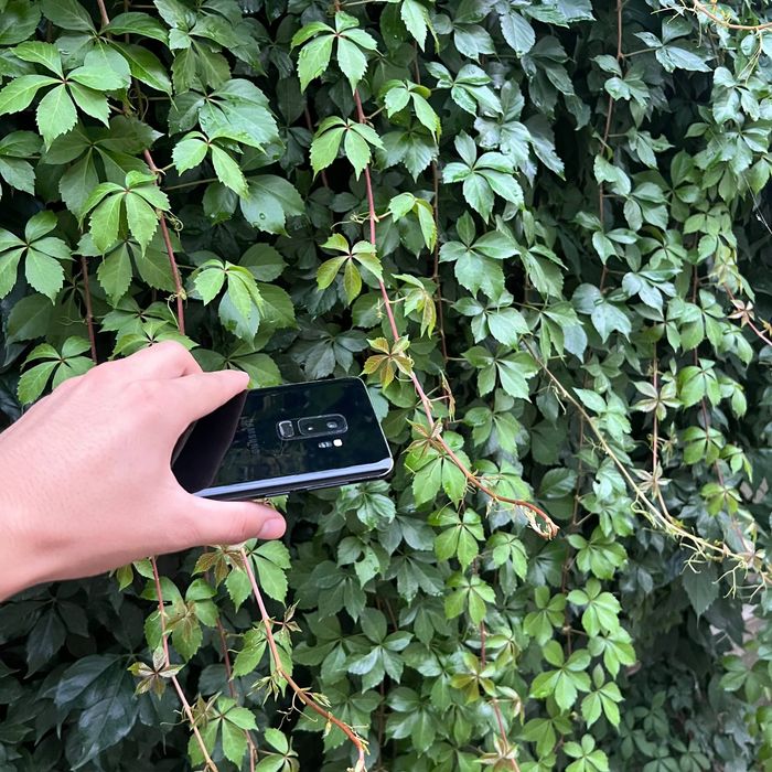 Samsung galaxy S9 plus retro model, arzon narxda