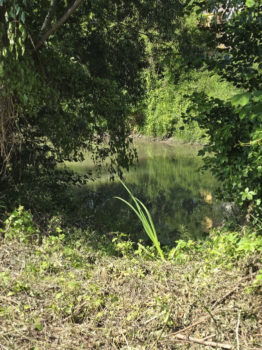 Teren de vânzare 942 mp - acces privat la râul Bistrița