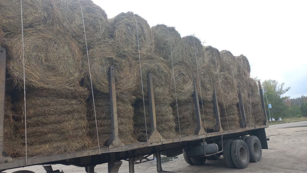 Продам сено Белый камаз! 926 отличное сено