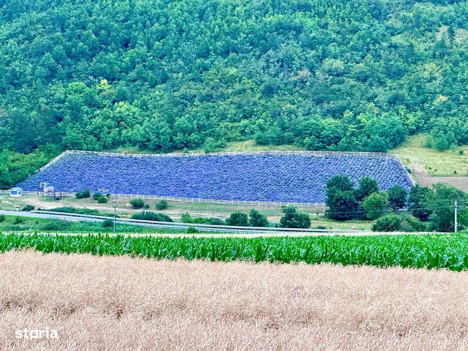 Teren De Vânzare
Dn14a, Târnăveni
