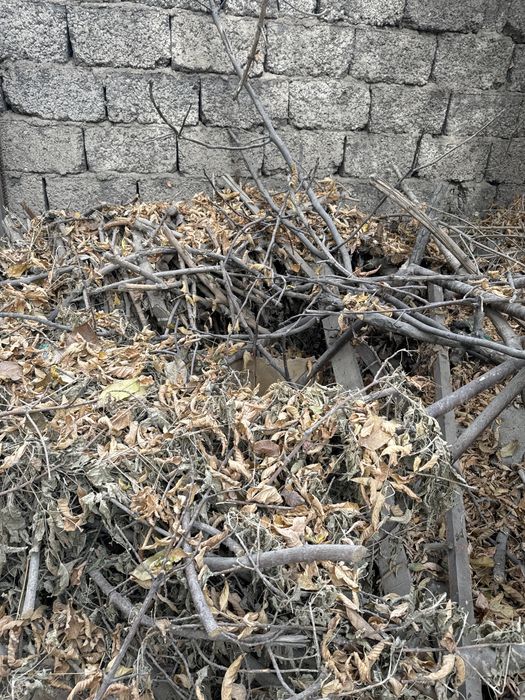 Драво бесплатно самовызов