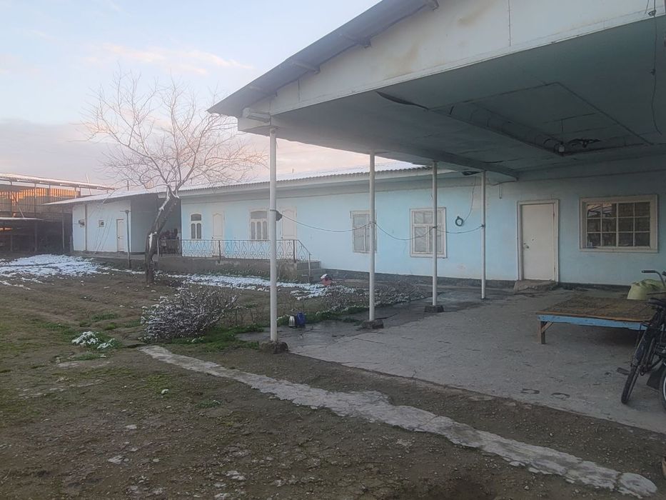 Katta Katej Sotiladi