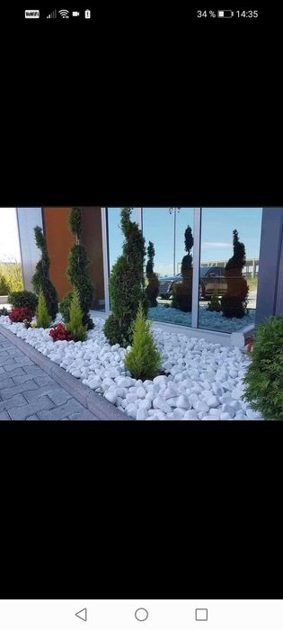 Grădini Unice – Plante Selecte, Gazon Dens și Detalii Decorative!