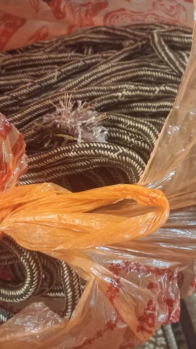 Канат альпинийский