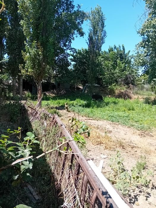 Земля продаётся в таш тогизак