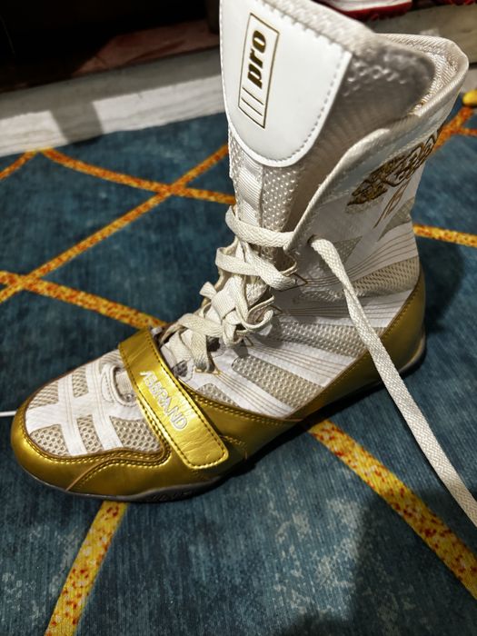 Продам боксерка Аббренд