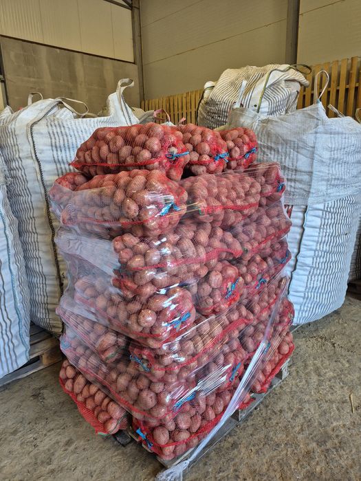 Cartofi consum alb si rosu