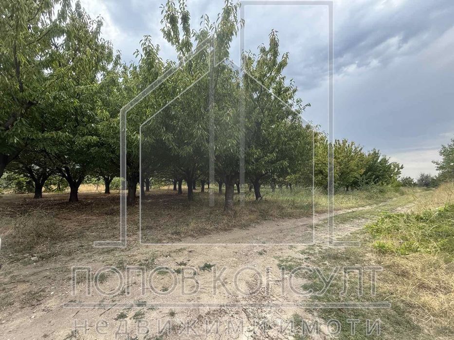 Продава се Парцел в с. Марково, Област Пловдив - 2852 кв.м за 29 €/кв.м - Снимка #1