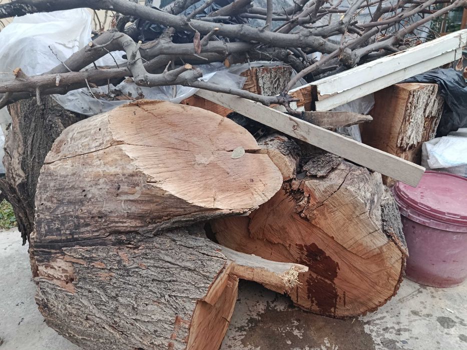 O'tin sotiladi, O'rik va Yong'oq daraxtlari o'tini