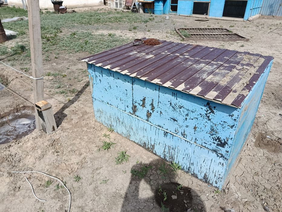 Итің ұясы Сабачи домик