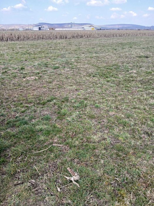 Vand teren 11 500 MP langa comuna Cristian, Sibiu