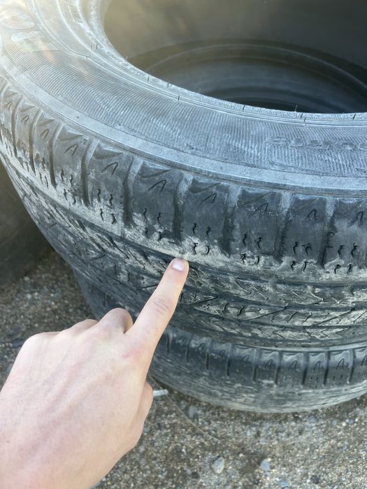 Продам шины nexen