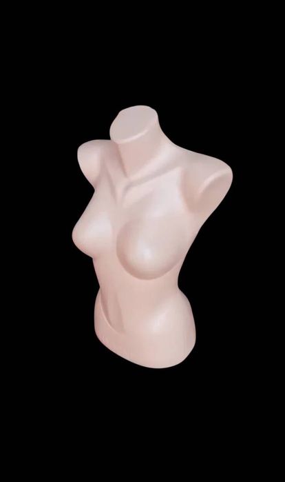 Аёллар кийими учун моникен сотилади