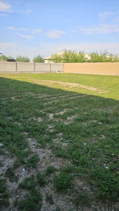 PROGRESSda. Er  ( chek ) sotiladi