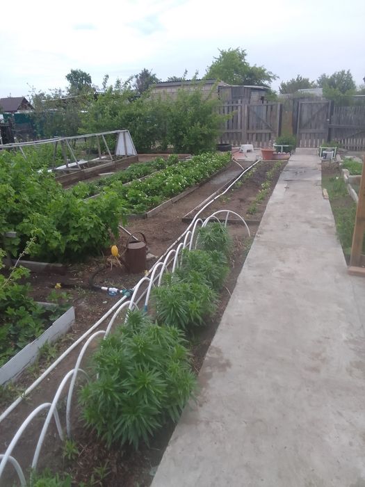 Продам дачу Сад Здоровье