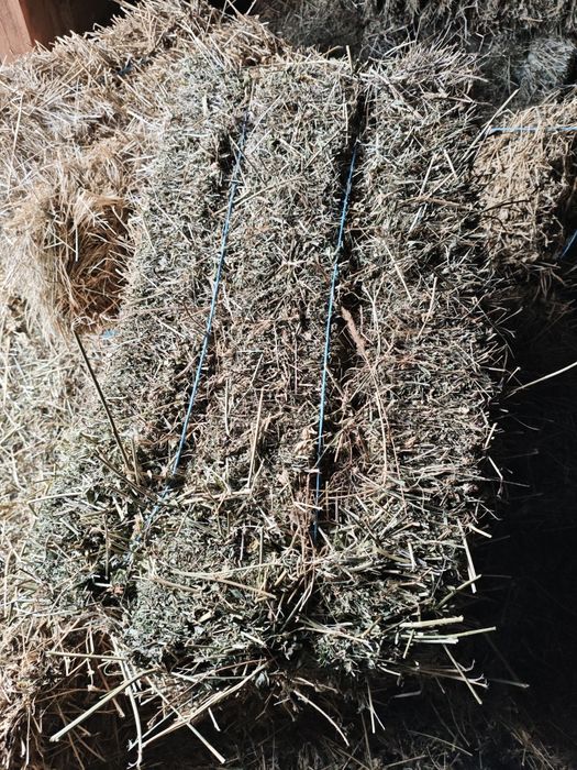 De vanzare baloti fan lucerna paie neplouat 2025