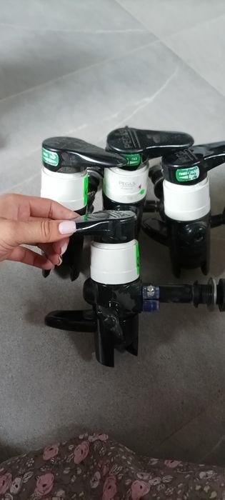 Пигасы пивные для