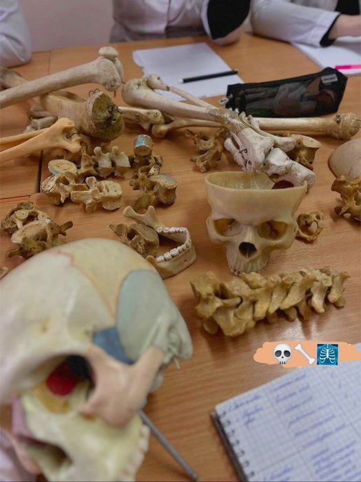 Репетитор по Анатомии и Общей патологии