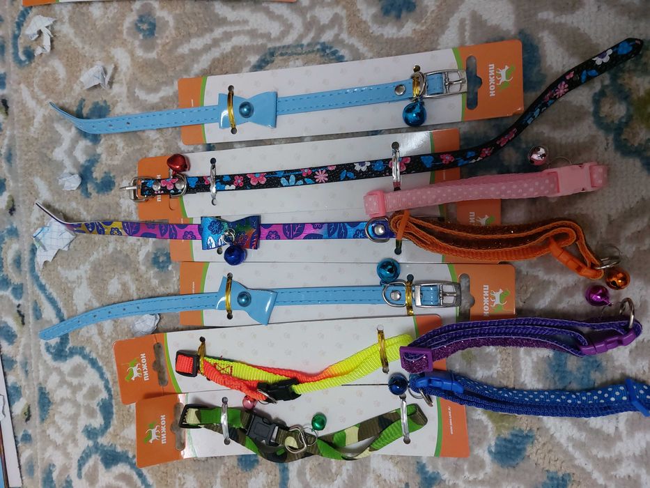 Ошейники для кошек и котят