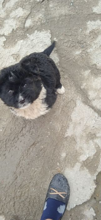 Aqlli qulga urgangan