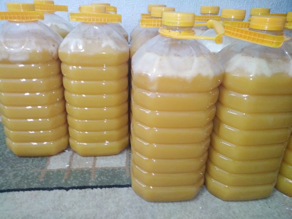 Продам мёд с личной пасеки