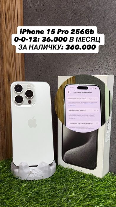 iPhone от 11 до 16