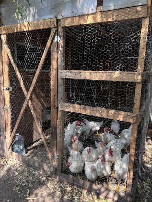 Ai obosit de agitația orașului? Poate că „acasă” te așteaptă la Pogoanele. Casă de vânzare în Pogoanele,