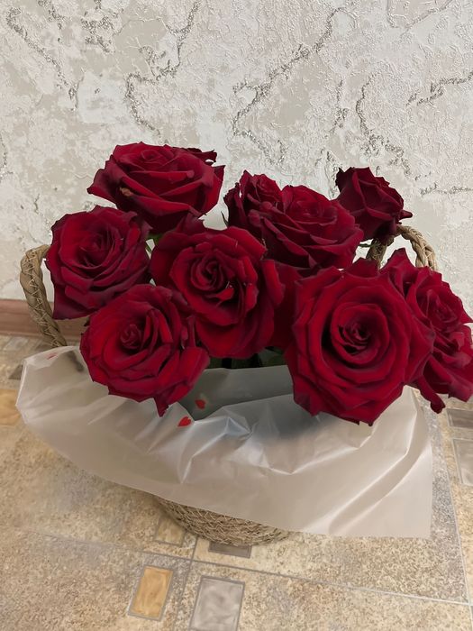 Цветы роза красная продам за 4500