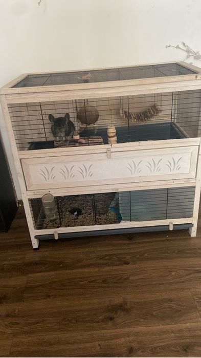 Vand cusca chinchilla