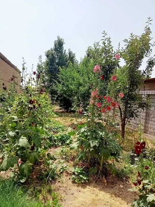 продается участок, сотилади 4 сотка