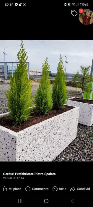 Ghiveci/jardiniere  mozaic spălat