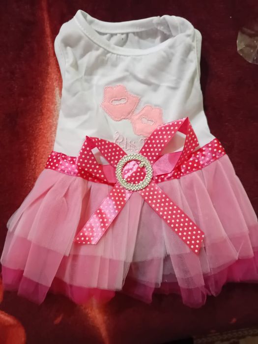 Vând urgent rochiță pentru cățelușe M