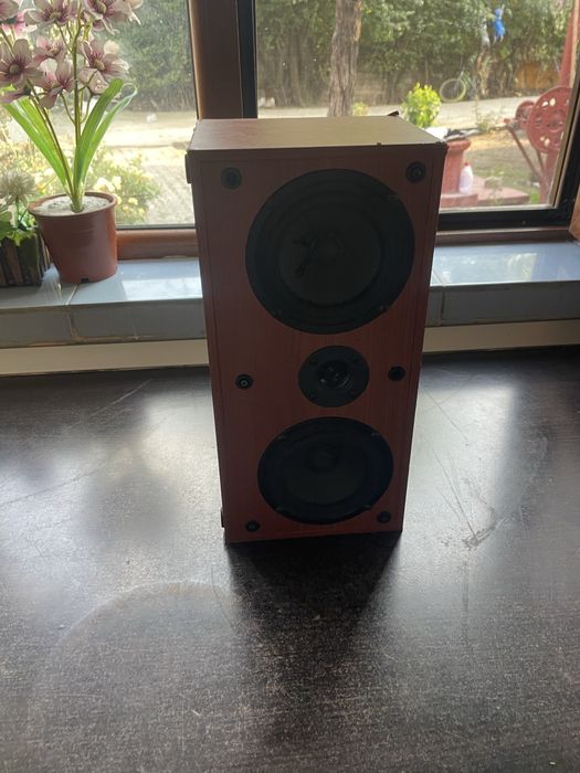 boxe audio se vinde urgent 100% functionale prezinta doar cateva urme de uzura