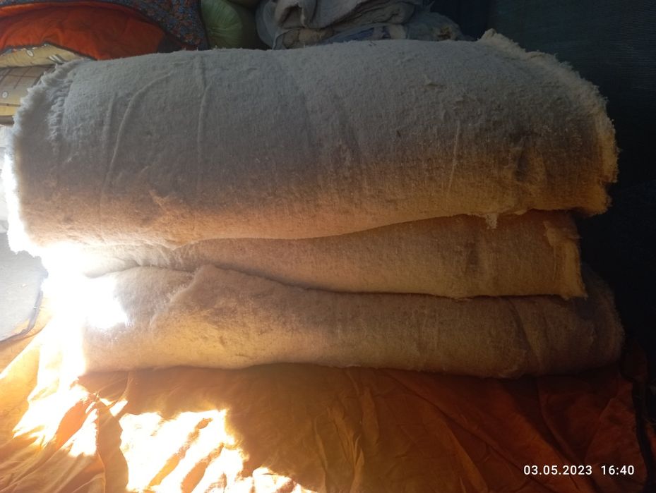 Курпачадан чикган титилган пахта