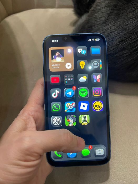 Айфон 13 АКБ 79%