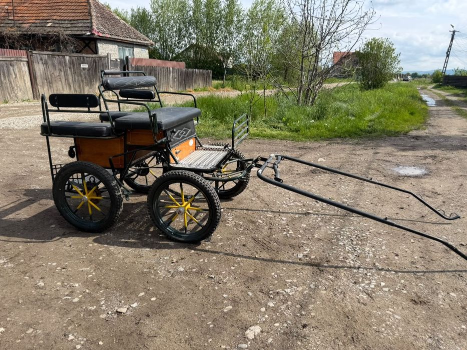 Trasura maraton de vanzare caii trasuri de vanzare
