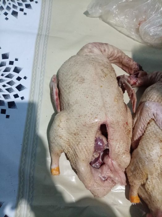 Продам мясо утки