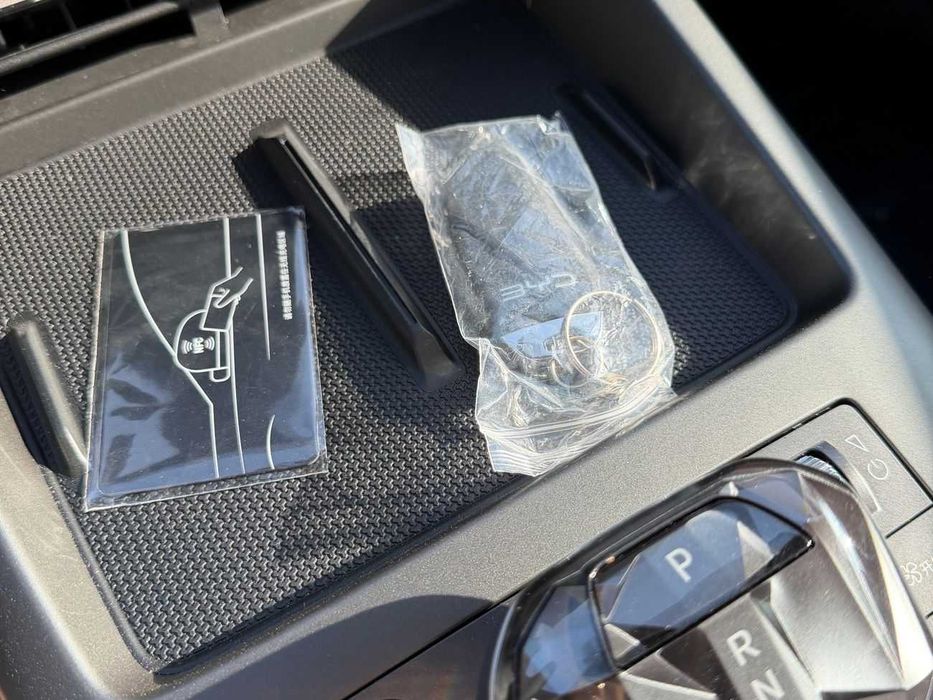 Byd Qin Plus pod zakaz