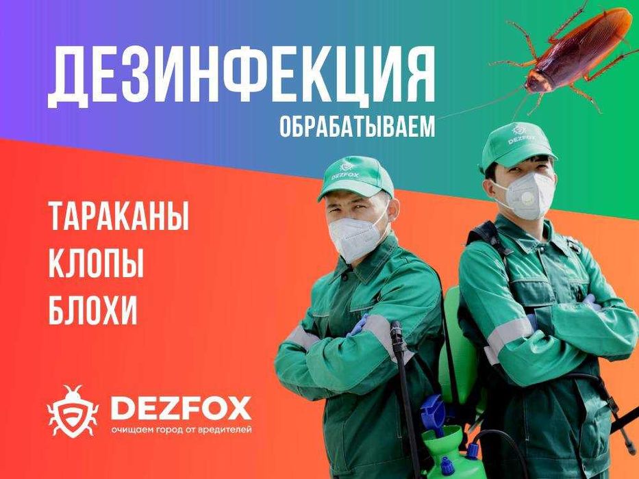 Дезинфекция Обработка От Насекомых Тараканов Алматы Санитарная Средств