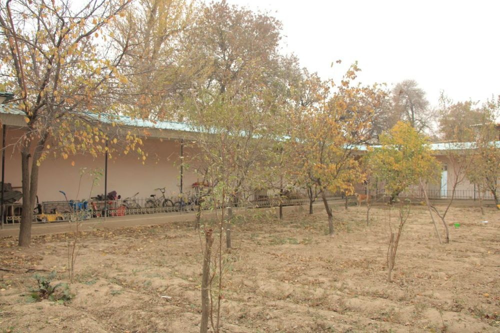 Сирдарё вилояти Гулистон шахри Дустлик кургони (октябр) Чулпон кучаси